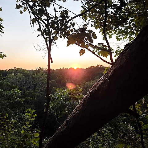 - OnlyFans profile picture