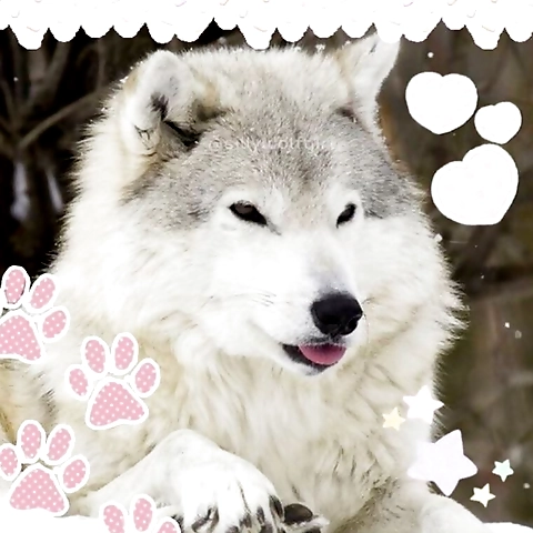 WOLFIE  UNLOCKED OnlyFans profile picture