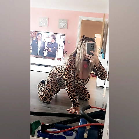 Foxy Rox OnlyFans profile picture