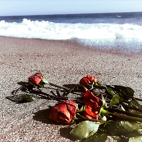 Aly Brooke OnlyFans profile picture