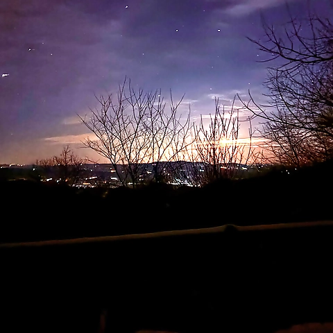 Bella Elise Rose OnlyFans profile picture