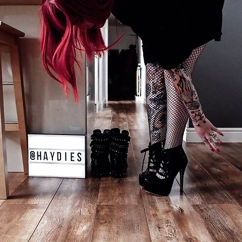 Haydies OnlyFans profile picture