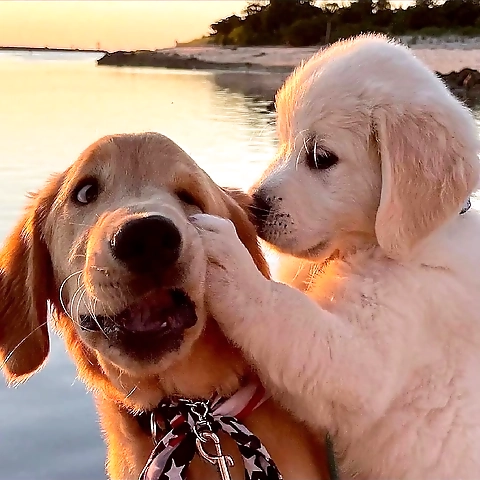 - OnlyFans profile picture