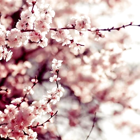 - OnlyFans profile picture