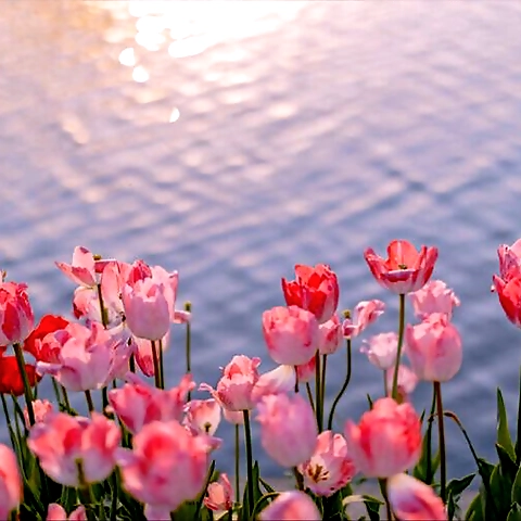 - OnlyFans profile picture