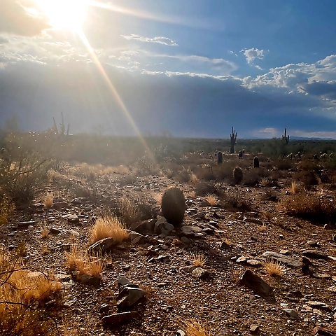 - OnlyFans profile picture