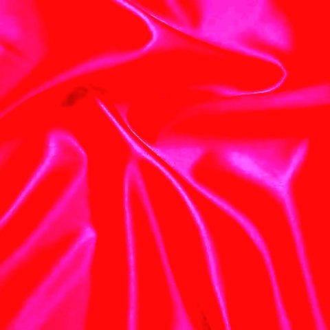 - OnlyFans profile picture