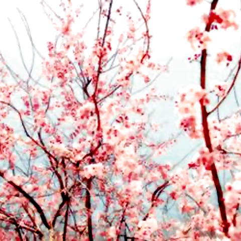 - OnlyFans profile picture