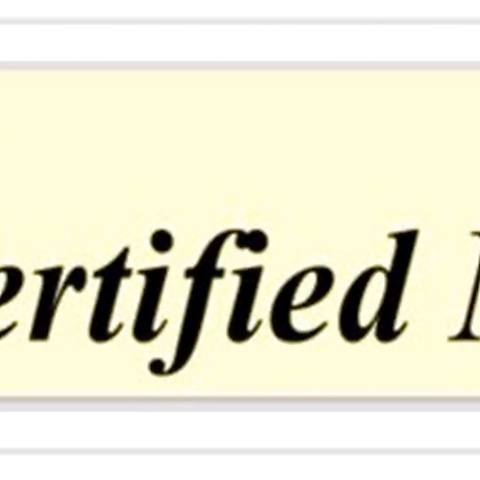 - OnlyFans profile picture