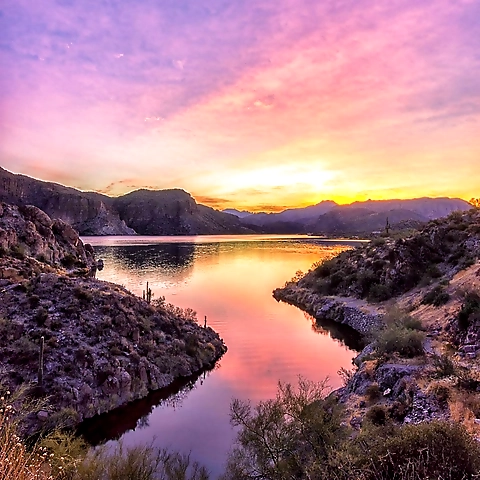 Lexisg OnlyFans profile picture