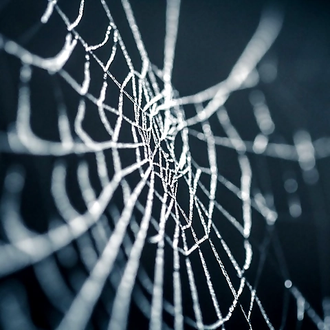 MaryJane OnlyFans profile picture