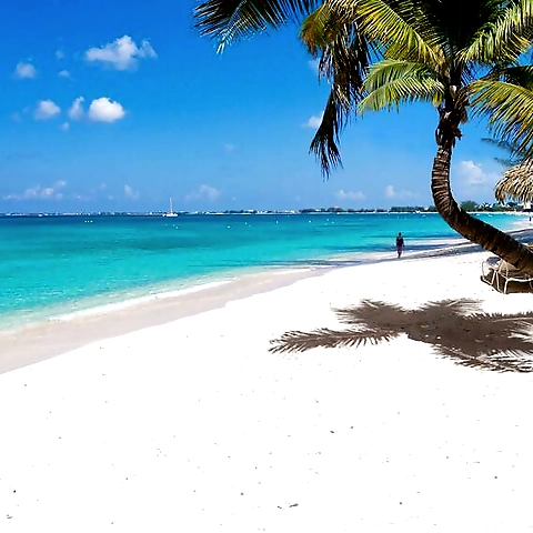 Lynn OnlyFans profile picture