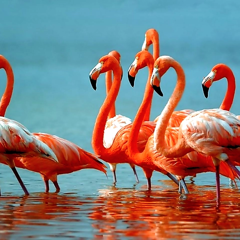 Louisa OnlyFans profile picture