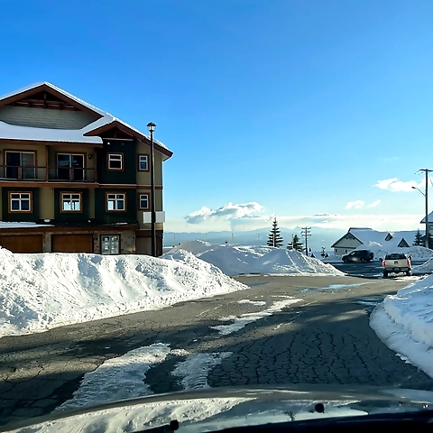 Randi OnlyFans profile picture