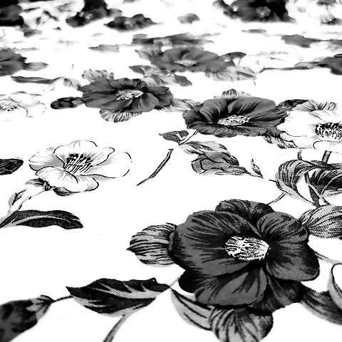 Kat OnlyFans profile picture