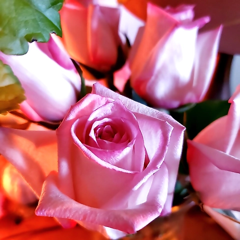 Raymara OnlyFans profile picture