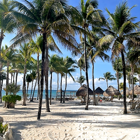 Lora OnlyFans profile picture