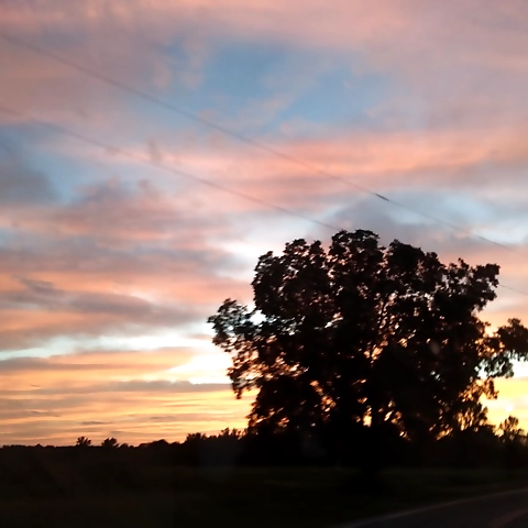 Korina Kester OnlyFans profile picture