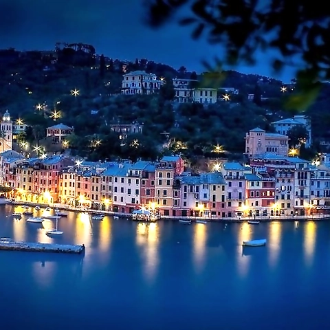 Foxy OnlyFans profile picture