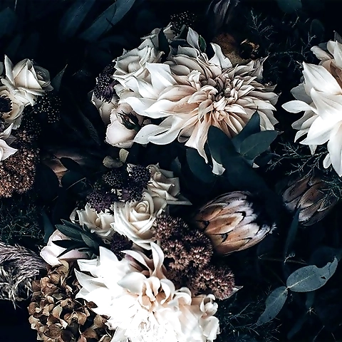 Aeris OnlyFans profile picture