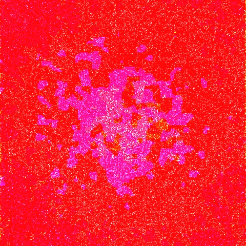 Your Perfect Match with vermilionvulpine on OnlyFans Finder!