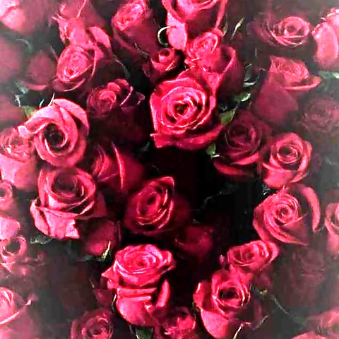 Do you like hairy pussy daddy ... Look at my tight pussy dadddy ... do you like my pussy daddy 😻😻 ... Mmm look how wet my pussy is daddy ... Do you wanna fuck my tight pussy daddy ... Come get a sneaky peek into the overly sexual life of this OnlyFans profile picture