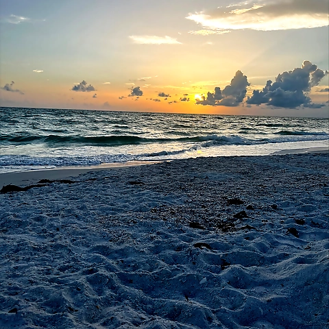 IndyVixen OnlyFans profile picture