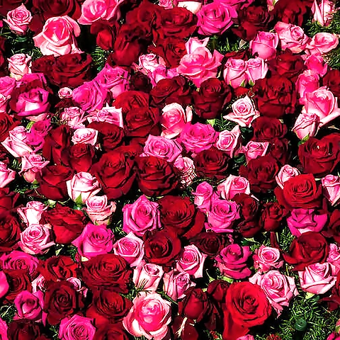 jar honey OnlyFans profile picture