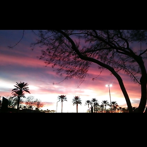 Mistress Soo OnlyFans profile picture