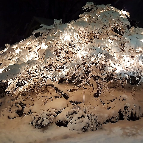 Goddess Mystress  Wynter Roulette OnlyFans profile picture