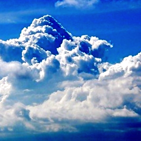 Callie FREE TO SUBSCRIBE OnlyFans profile picture