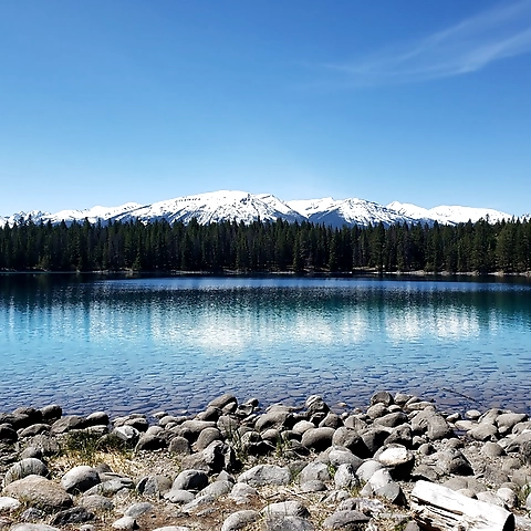 Ellie OnlyFans profile picture