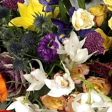 MadiMay OnlyFans profile picture