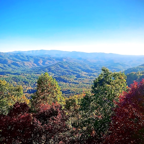 NSFSocialW OnlyFans profile picture