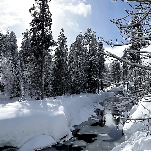 Kay OnlyFans profile picture