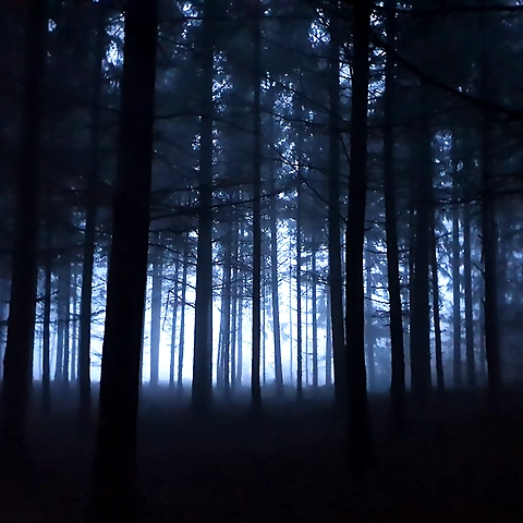 Valeria OnlyFans profile picture