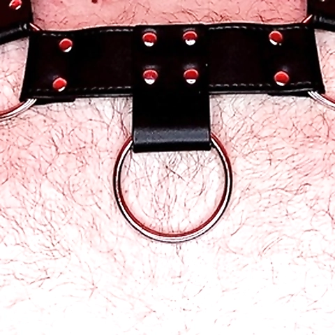 EvCub342 OnlyFans profile picture