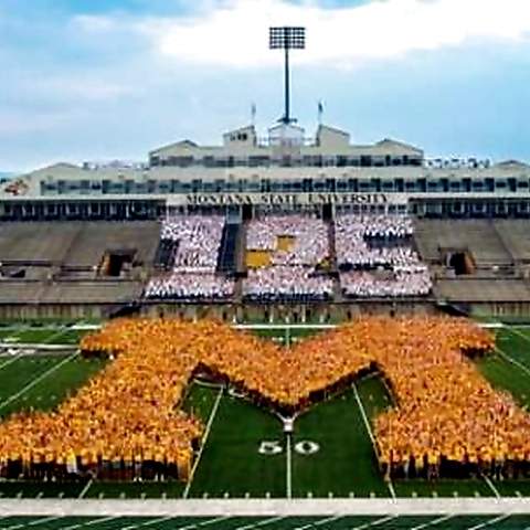 Miss Mouse Studios OnlyFans profile picture