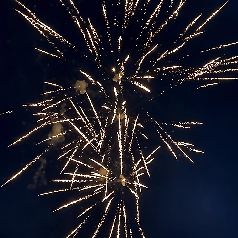 Red OnlyFans profile picture