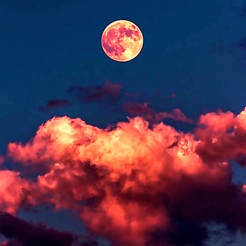 Rebeccadressell OnlyFans profile picture