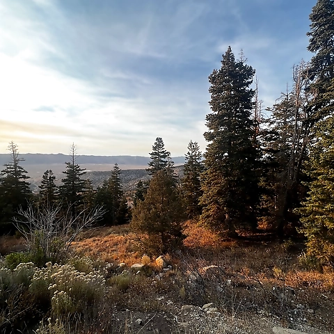 Jay OnlyFans profile picture