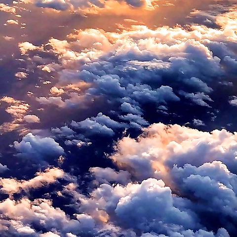 Celine Danielle OnlyFans profile picture