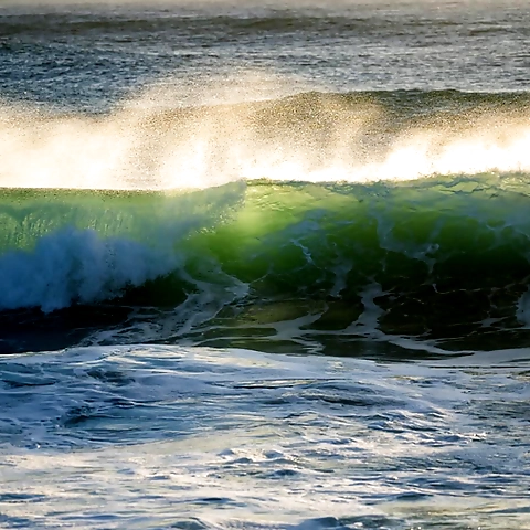 Jimmy OnlyFans profile picture