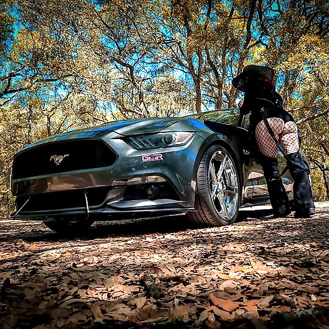 Raven Celeste OnlyFans profile picture