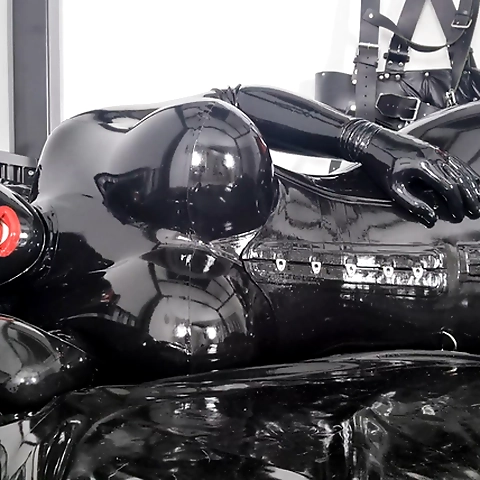 Emma Lee OnlyFans profile picture