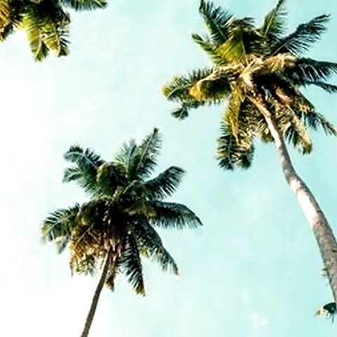 Mark Tanner OnlyFans profile picture