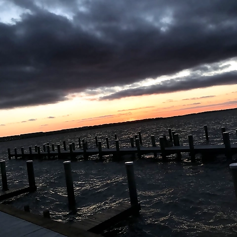 Mike The Neighbor OnlyFans profile picture