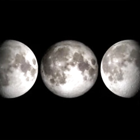 Mistress Zoe Noir OnlyFans profile picture