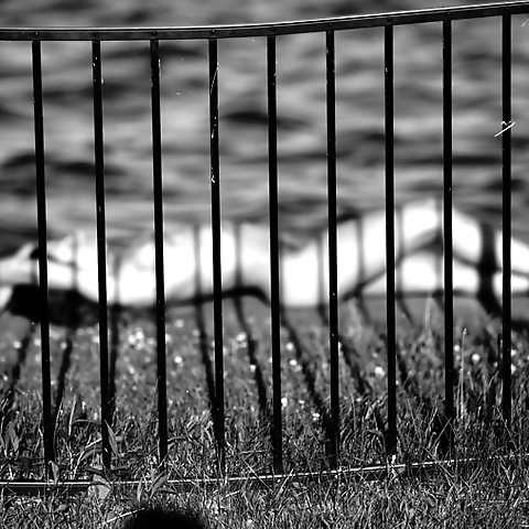 Alycia Carpenter OnlyFans profile picture