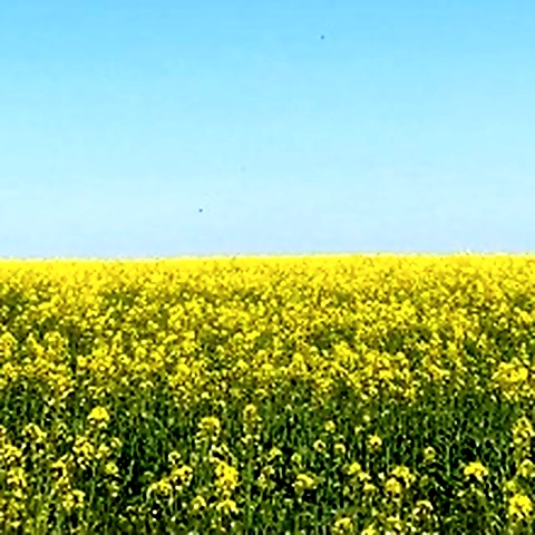 Amarita Franchetti OnlyFans profile picture